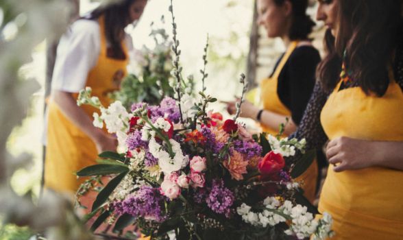 Floriculturas no Alto do Brasil - Recife 