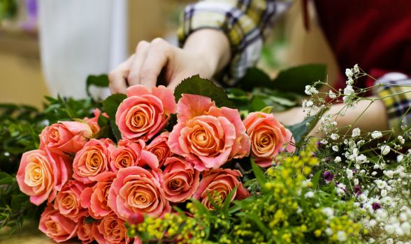 Floriculturas em Torreão - Recife