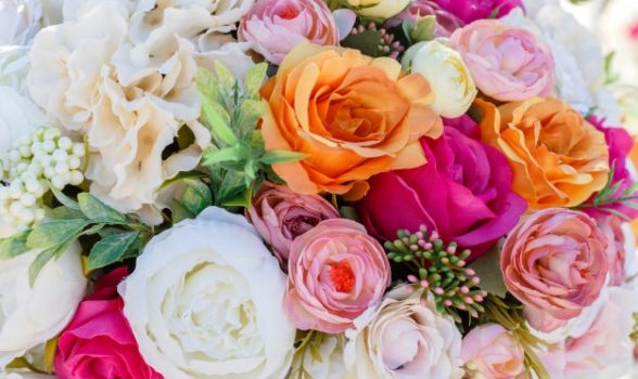 Floriculturas em Jardim São Sebastião - Recife