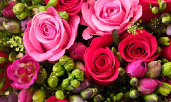 Floriculturas no Parnamirim - Recife