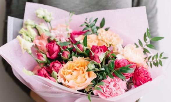 Floriculturas no Alto do Reservatório - Recife