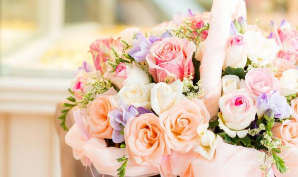 Floriculturas em Areias - Recife 